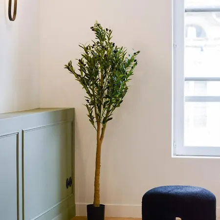 Le Charles 3 De Standing Appartement